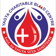 Search Engine Optimization images (2)