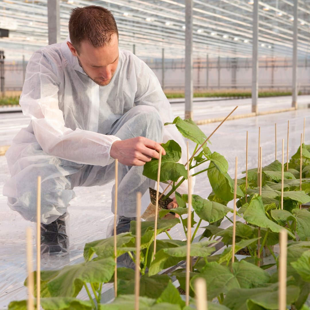 Agriculture and Horticulture